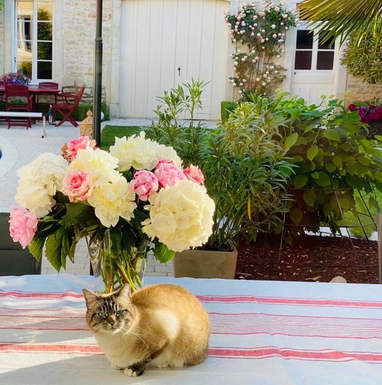 "Le Jardin" Chambre De Charme, Piscine A Meursault Bed & Breakfast Exterior photo